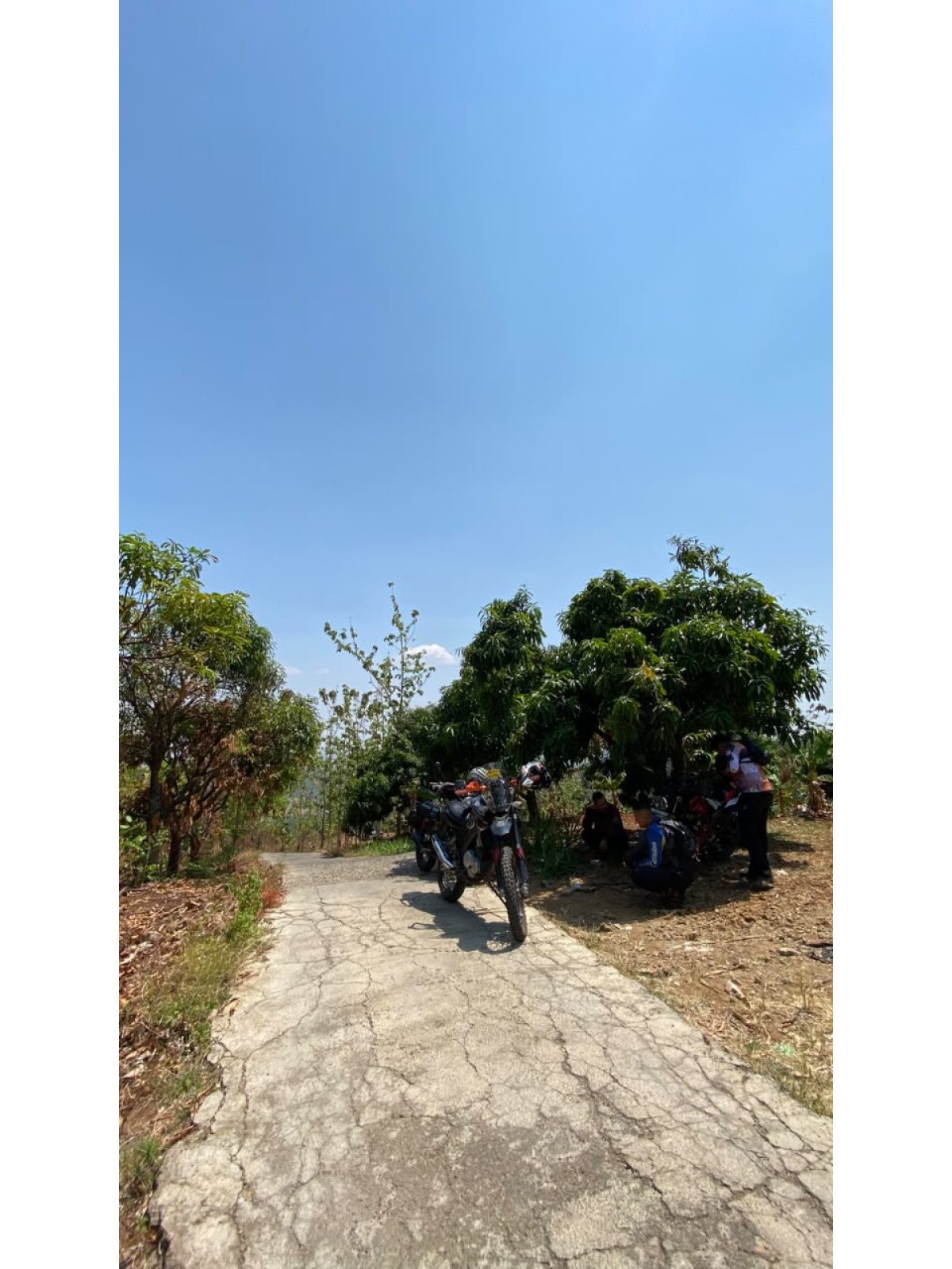 NDay26 Time Trial
