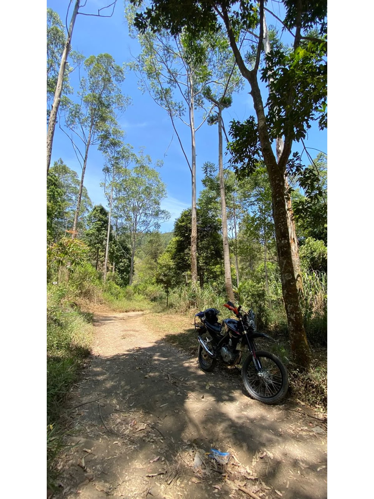 NDay26 Time Trial